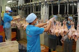 Giết mổ gia cầm